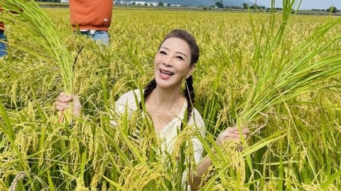 楊繡惠提到母親不忍哭了！眼見一幕淚憶「悲情往事」：好怕被笑