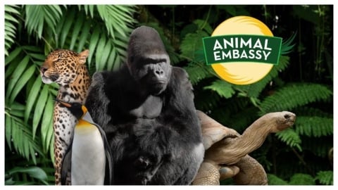 在照護與理解中 學會尊重生命《動物大使館 Animal Embassy》