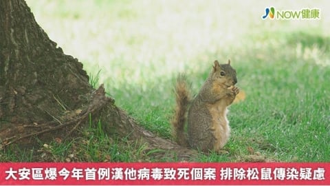 大安區爆今年首例漢他病毒致死個案 排除松鼠傳染疑慮