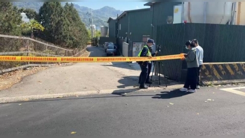 瞞禽流感疫情！台中畜牧場將死雞埋苗栗　業者羈押禁見、地主20萬交保