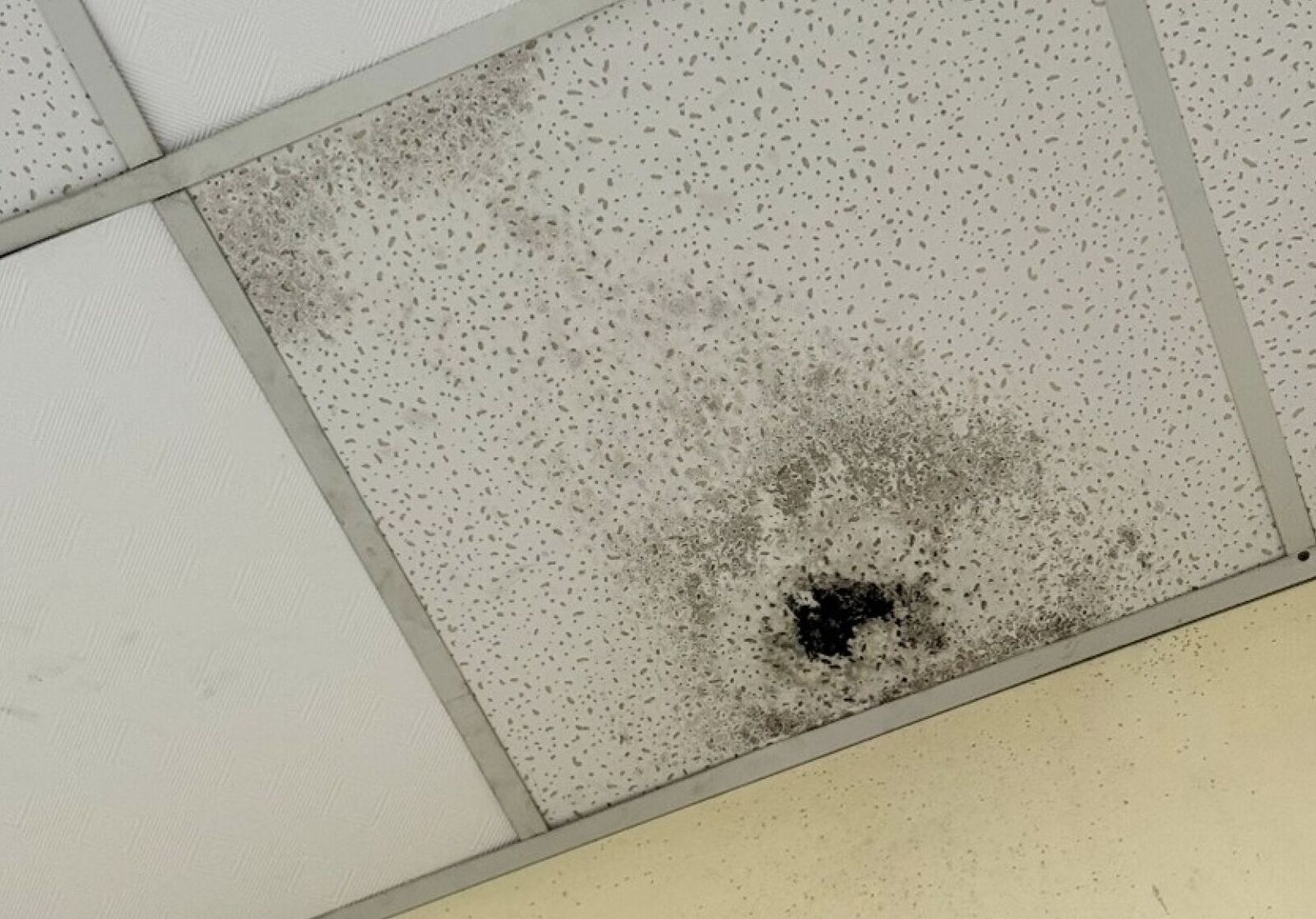 學童吃的午餐竟髒亂環境煮出來的！ 新竹台南3團膳業者挨罰 13