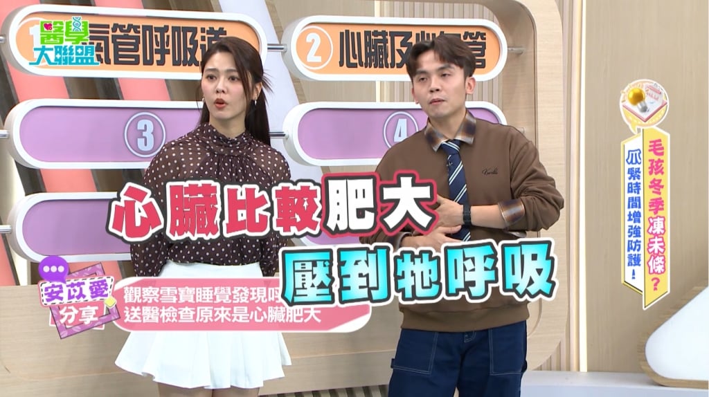 安苡愛《醫學大聯盟》毛小孩睡覺「呼吸快」須留意！小心肥厚性心肌病