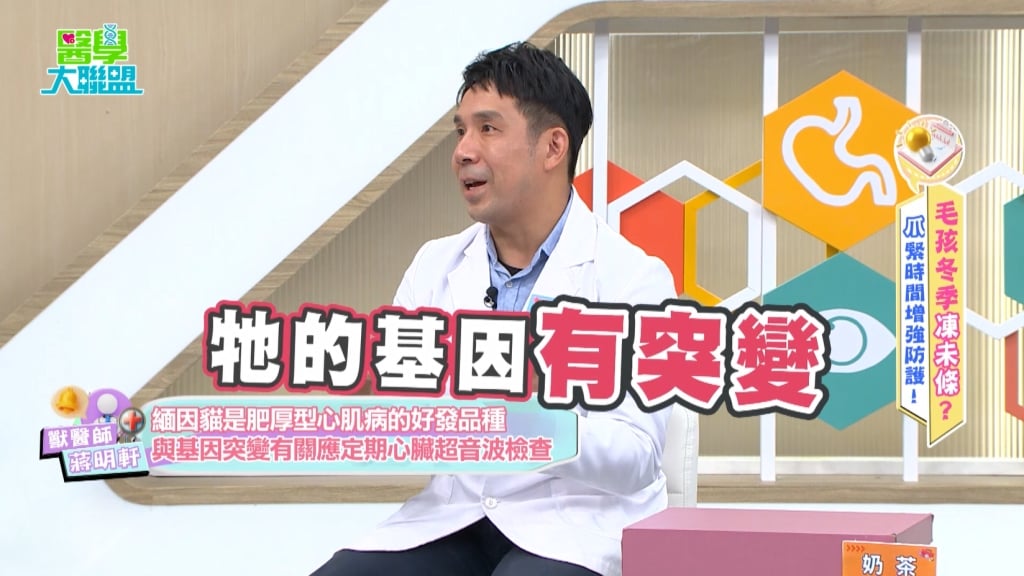 安苡愛《醫學大聯盟》毛小孩睡覺「呼吸快」須留意！小心肥厚性心肌病
