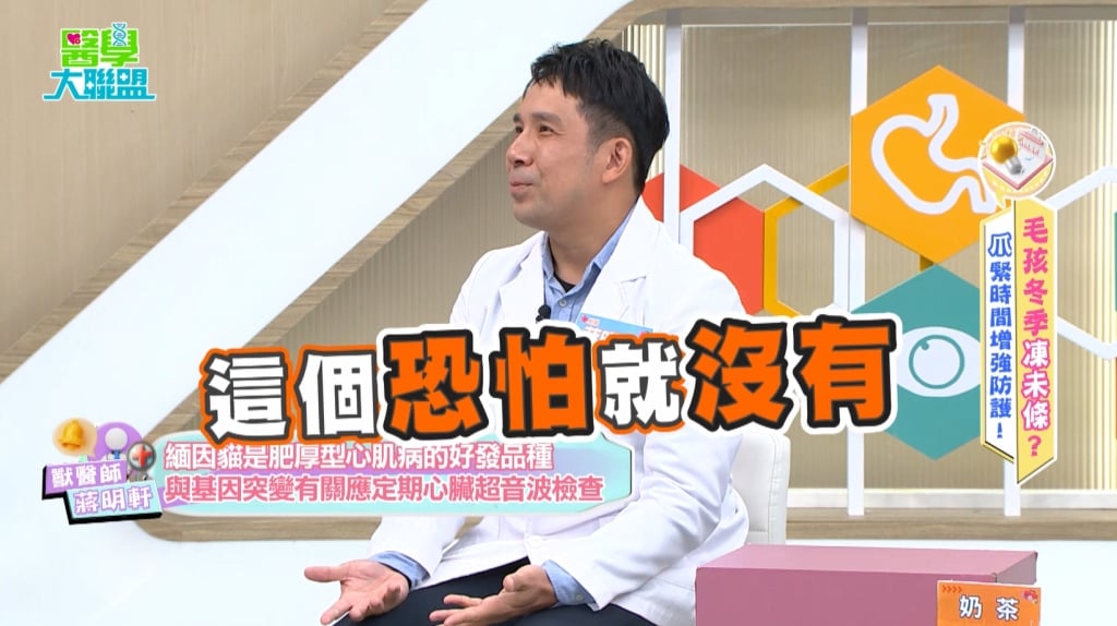 安苡愛《醫學大聯盟》毛小孩睡覺「呼吸快」須留意！小心肥厚性心肌病