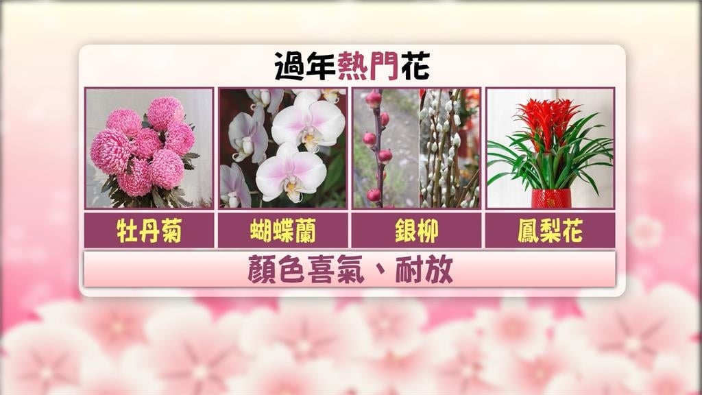 年前花卉買氣增！　台北花市除夕前「108小時不打烊」