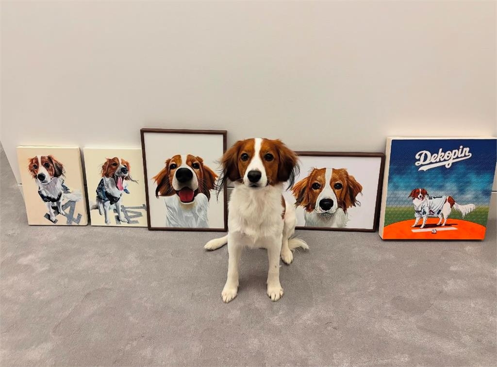 MLB(影)／大谷翔平馬不停蹄宣傳愛犬Decoy新書！道奇3連霸願景成為話題