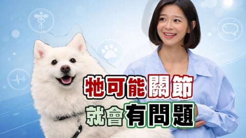 蔡祥《醫學大聯盟》關節炎早期徵兆：貓咪「不愛理毛」竟是求救訊號！