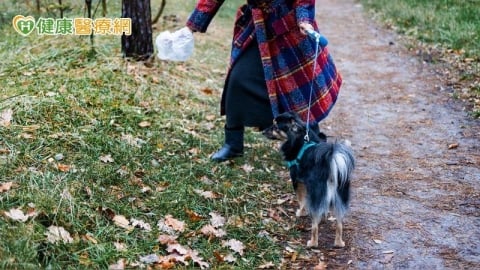 帶狗狗如廁遭休旅車輾壓！44歲婦肋骨斷21根　醫搶命14天救回