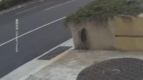 捷運、超商冷藏櫃驚見米奇　綠營轟台北市成「老鼠迪士尼」