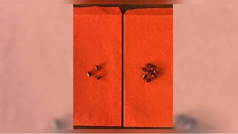 2026火馬年開運元素曝！　自製開運小物只需「這兩物」