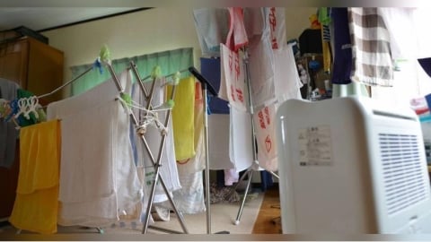 除濕機只倒水不清洗恐藏「粉紅黏液」　專家示警：全家狂吸細菌