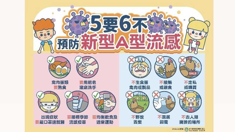 冬春留意禽流感！H5N1今年已7案　疾管署籲「5要6不」防範