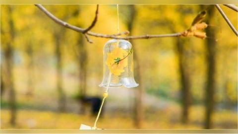 12生肖本周運勢　屬牛事業運奪冠「氣勢最旺」