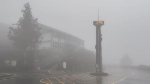 還不夠冷！陽明山、太平山暫未降雪　遊客耐心等候中