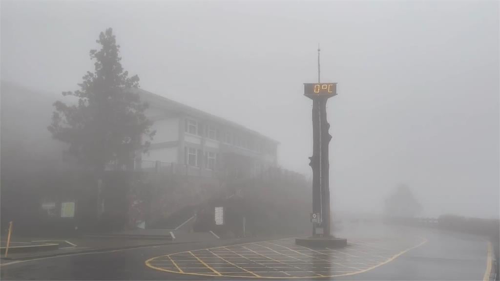 沒下雪！全台凍番薯　民眾衝上山追雪撲空