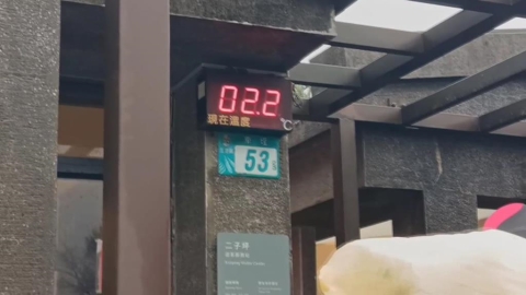 沒下雪！全台凍番薯　民眾衝上山追雪撲空