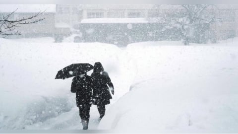 日本最強寒流！降雪衝擊交通　航班大量取消、新幹線降速行駛