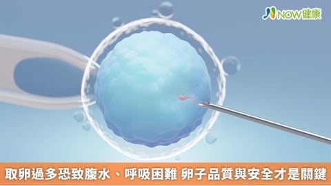 取卵過多恐致腹水、呼吸困難 卵子品質與安全才是關鍵