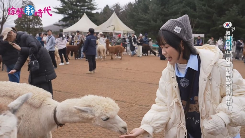 籃籃遊韓國出事了！ 親眼目睹失控場面 本人「慘遭圍攻」超崩潰反應曝