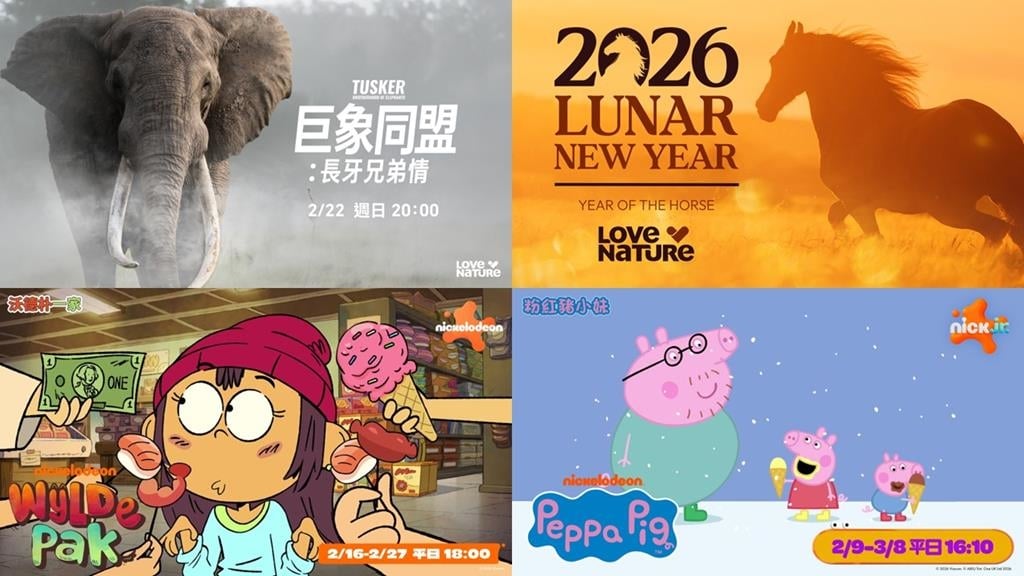 環遊世界看動物　可愛動畫超逗趣　四季線上精彩節目過新年