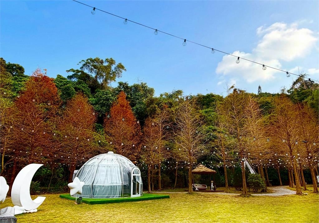 春節遊故宮看花海！青青食尚花園宴享美味與折扣優惠！