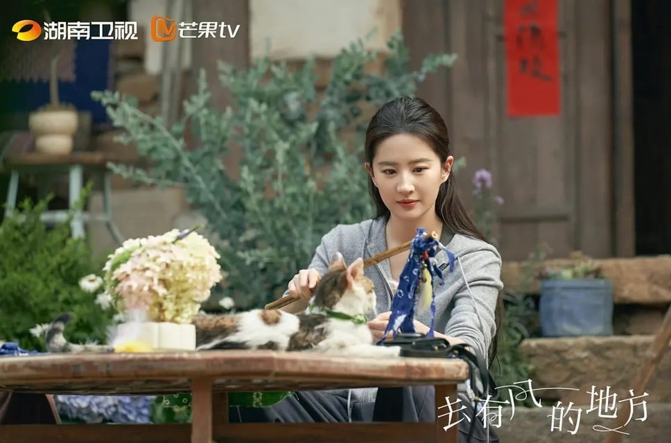 治癒神劇回歸！《去有風的地方》傳開拍續集 劉亦菲、李現「紅豆遙遙CP」有望再續前緣