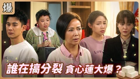 《豆腐媽媽-EP37精彩片段》誰在搞分裂 貪心蓮大爆？