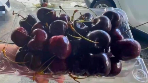 實現「櫻桃自由」別拿命賭！醫喊：吃到「這味道」代表已腐爛、快點丟