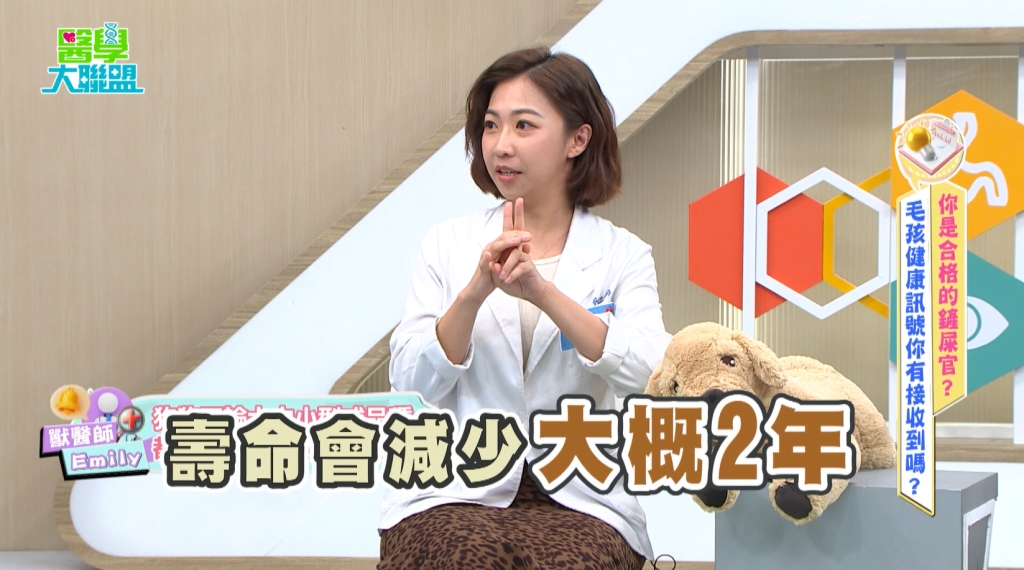 余祥銓《醫學大聯盟》毛孩體重過重壽命減 2 年? 「關節炎 7 倍風險」