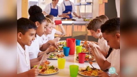 全球1.59億青少年肥胖　WHO發布校園飲食指引強化供餐制度