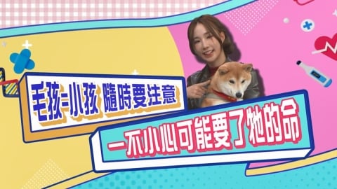 (影)／女星分享毛孩突然不吃東西 醫生觸診竟是「這一物」卡腸裡？