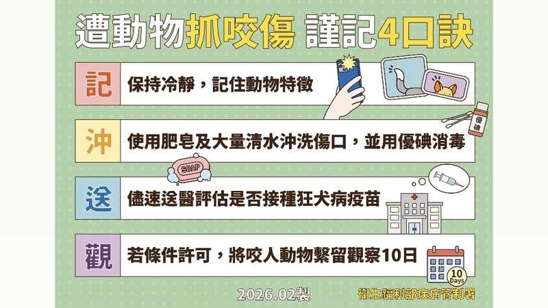 遭野生鼬獾抓咬要當心!人染狂犬病致死率近100% 記好4口訣保命
