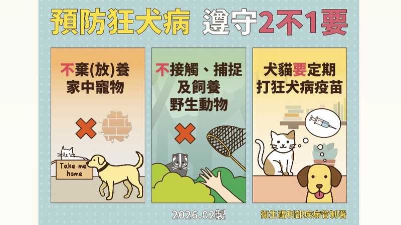 遭野生鼬獾抓咬要當心!人染狂犬病致死率近100% 記好4口訣保命