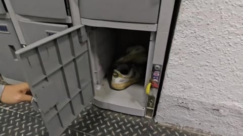 貪小便宜？苓雅運動中心置物櫃用1次投10元　不投錢占用全滿