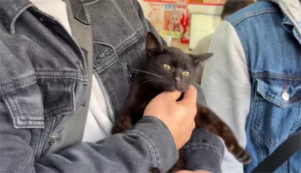 威力彩終結連30槓! 頭獎13‧5億獎落新北、新竹