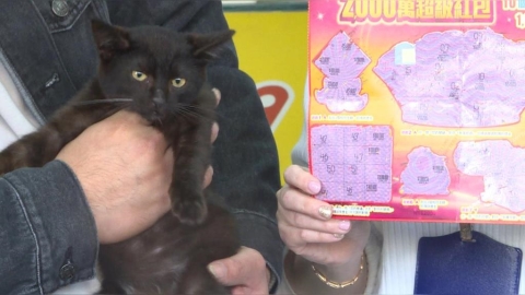 威力彩終結連30槓! 頭獎13‧5億獎落新北、新竹