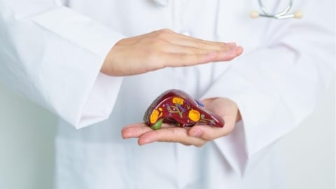 過年後診間湧現「看病潮」？ 爽吃一週驚見脂肪肝上身，醫示警「身材不胖也有危險」