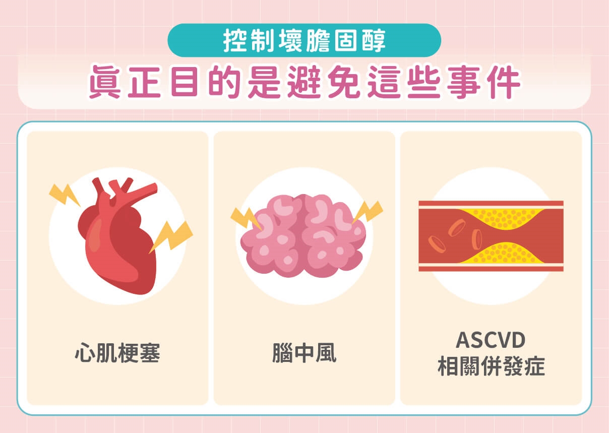 膽固醇一高就出事？名醫帶你看懂血管斑塊風險