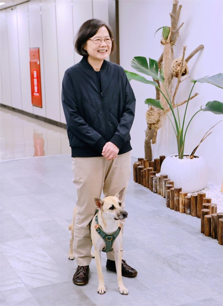 蔡英文情人節同框愛犬吐金句…網友抓包「追劇關鍵詞」笑喊：進度比我快呀！