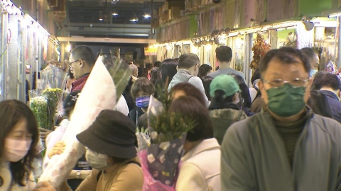 春節連假+西洋情人節　台北花市一早湧入採買人潮