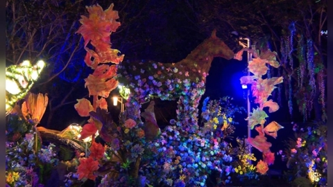 天馬奔馳!中台灣燈會驚蟄界 沉浸式感官之旅