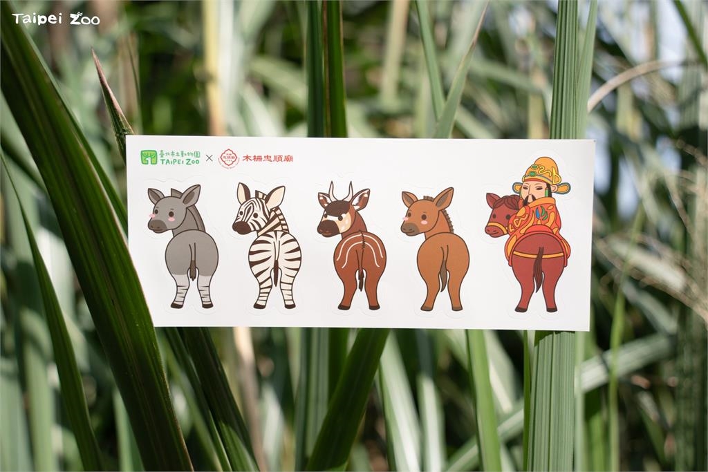 快新聞／「馬」上好禮！台北動物園推新春活動　盼遊客共挺瀕危動物