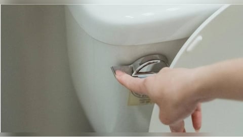 公廁馬桶水濺到屁股會染病?醫曝真正風險在「雙手」