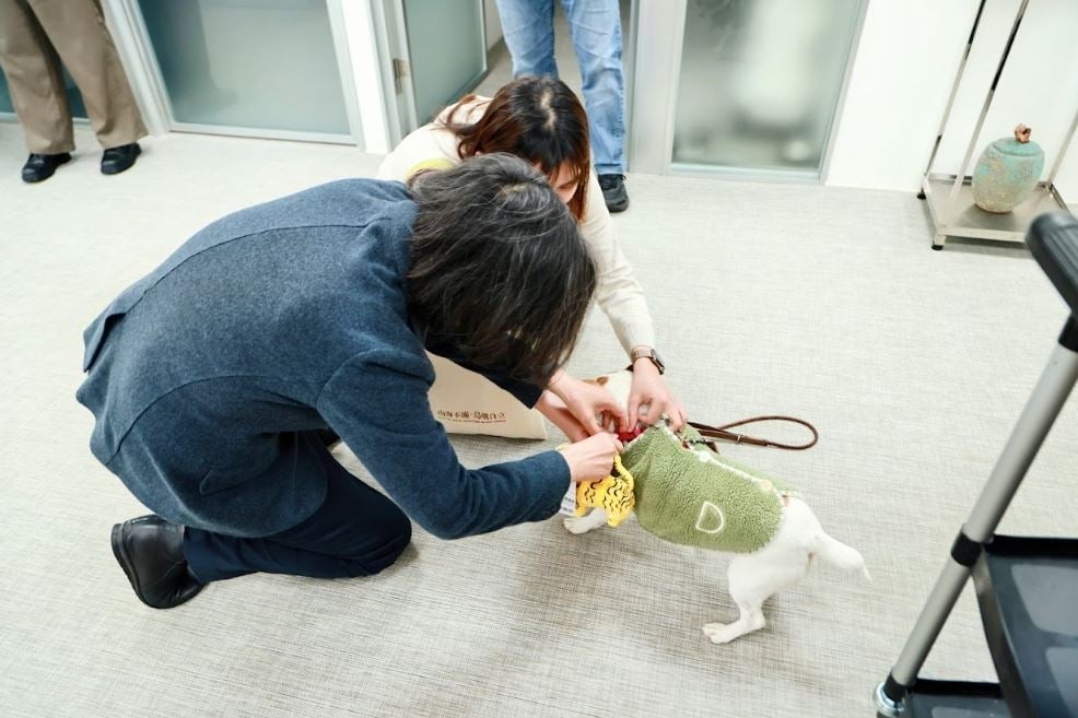 快新聞／蔡英文與愛犬「樂樂」歡度小年夜　嗨掛蜜柑萌虎、超人力霸王提燈