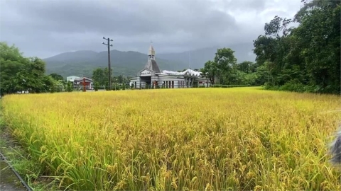 免關稅是「4年買千億美農產」換來的？農業部火速澄清：政府未出資