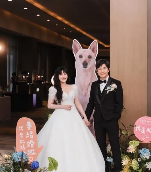 婚紗照PO網「遭酸不好看」攝影師高EQ回應！新人孫協志也發聲了