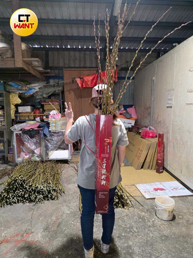 別樹一幟的銀柳攜帶方式好揹又有宣傳效果，也讓「三星銀柳鄉」名號隨三星遊客傳播到世界各個角落。（圖／CTWANT攝影組）