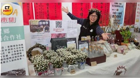 戀戀安農溪1／九成銀柳三星傍水生　在地揭長短錯落藏祝福寓意