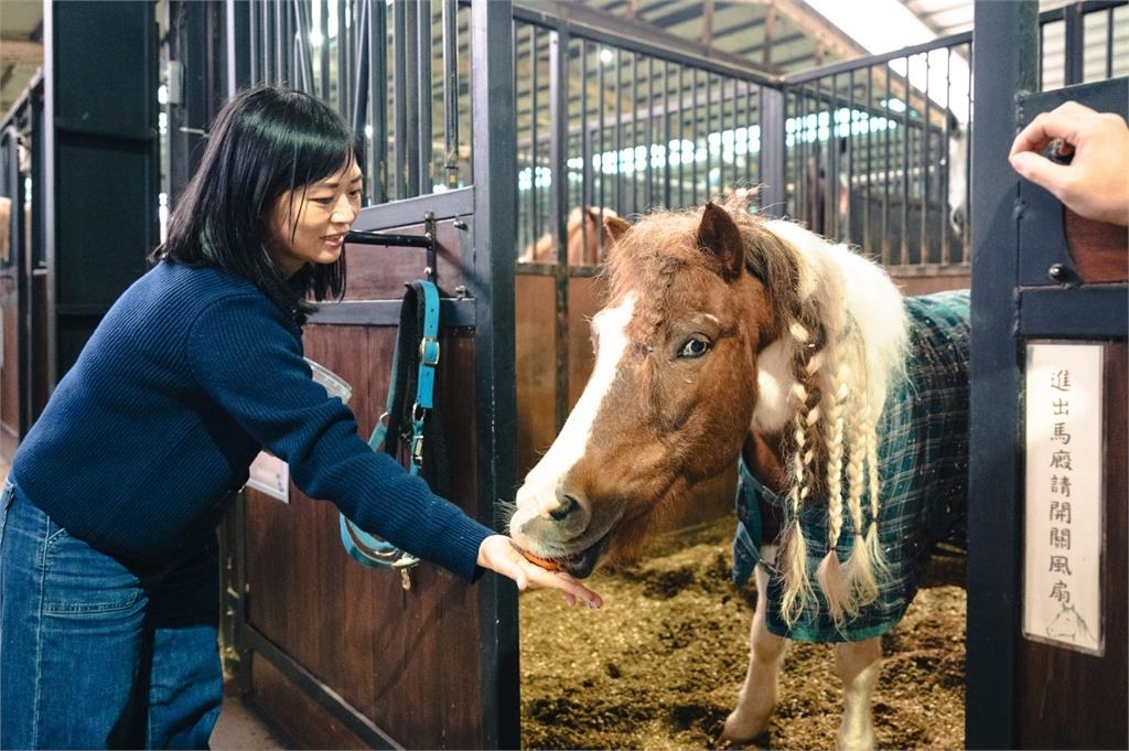 快新聞/歡喜迎馬年!蘇巧慧化身一日馬場照護員 沈伯洋竟成「Q毛本尊」?
