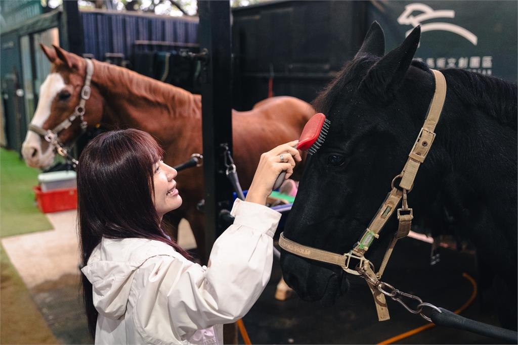 快新聞/歡喜迎馬年!蘇巧慧化身一日馬場照護員 沈伯洋竟成「Q毛本尊」?